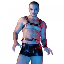 Conjunto Boxer y Arnés 9125