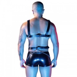 Conjunto Boxer y Arnés 9125 2