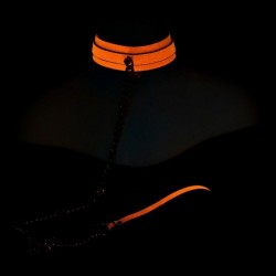 Collar Fluorescente con... 2