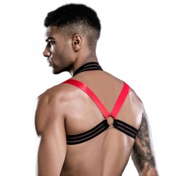 Conjunto Tanga y Arnés de... 2