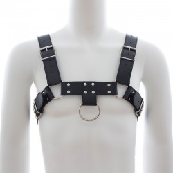 Bulldog Arnés de Pecho Negro