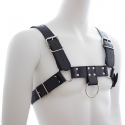 Bulldog Arnés de Pecho Negro 2