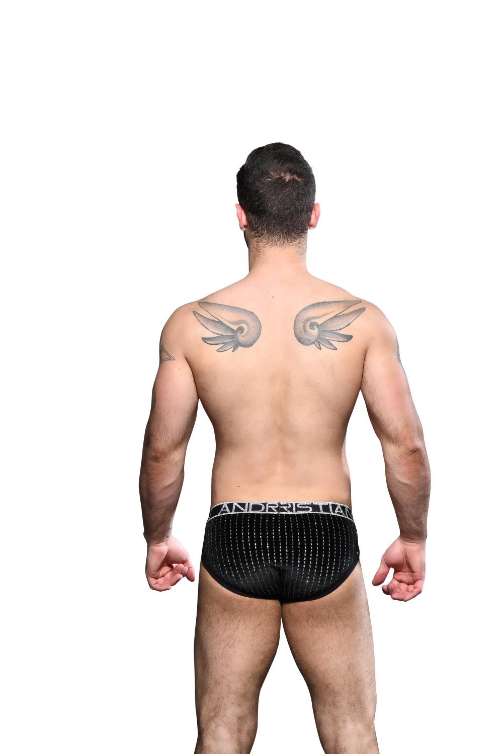 Glam Plush Stripe Brief 92319