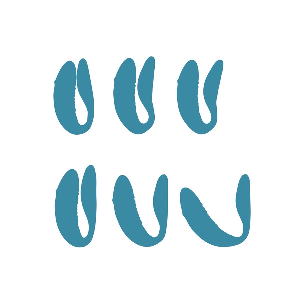 Chorus Vibrador con APP Para Parejas - Azul