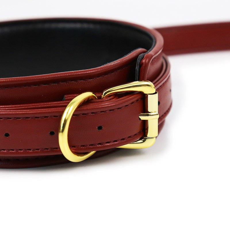 Steam Fantasy Collar con Correa