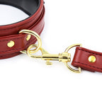 Steam Fantasy Collar con Correa