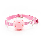 Pink Passion Kit Bondage