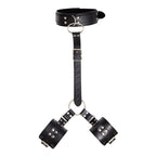 Kit Inmovilizador con Collar