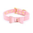 Miss Kitten Collar con Cascabel - Rosado