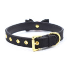 Miss Kitten Collar con Cascabel - Negro