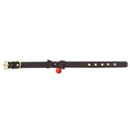 Miss Kitten Collar con Cascabel - Negro