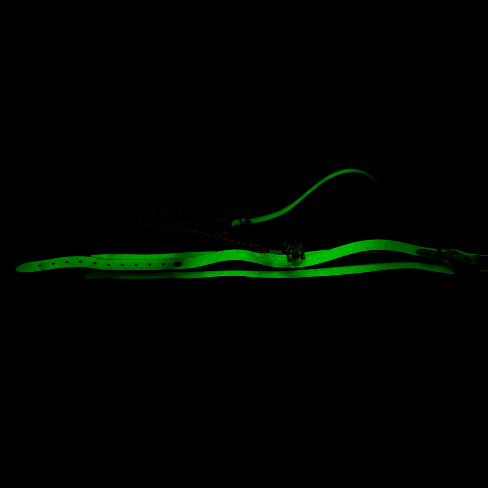 Collar Fluorescente con Cadena SENS Verde Neón